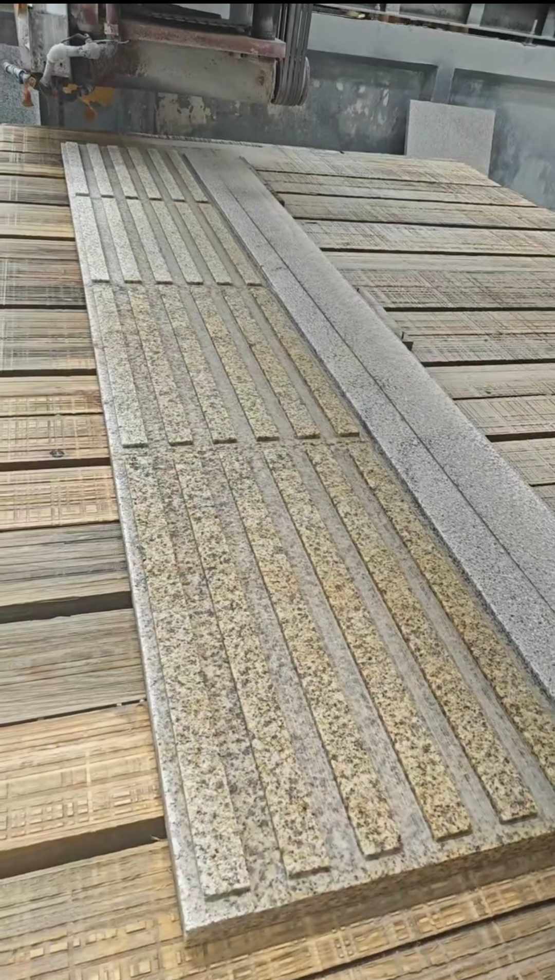 吐鲁番黄金麻盲道石 盲条